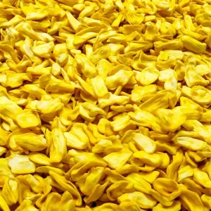 Healthy Snack Vacuum Fried Jackfruit Chips Retaining Original Flavor and Nutrients Low Fat Treat