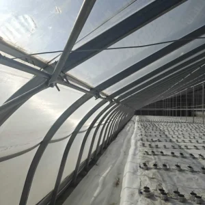 Heavy Duty Z Profile Steel Frame Greenhouse