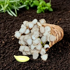 Herb Chinese Herbal Medicine Dried Panax Ginseng Root Slice Whit Panax Ginseng