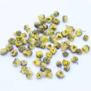 Herb Fetus Chrysanthemum Natural Dried Chrysanthemum Buds for Herbal Medicine &Tea