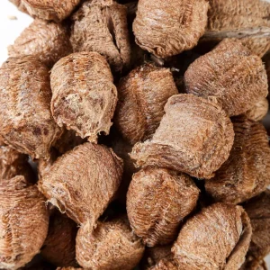 Herb Ootheca Mantidis Traditional Chinese Medicine Mantis Egg Case for Wellness