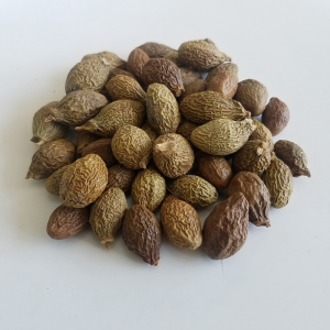Herb Sterculia Lychnophora Seed Natural Dried Malva Nut for Herbal Medicine & Tea