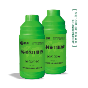 Herbal Intestinal Tract Medicine Poplar Flower Oral Liquid