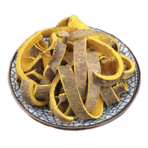 Herbal Medicine Phellodendri Chinense Bark