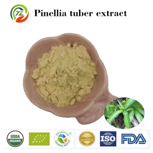 Herbal Pinellia Tuber Extract for Digestive and Respiratory Wellness