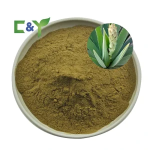 Herbal Plants Herbal Food Additive Yucca Herb Extract Powder