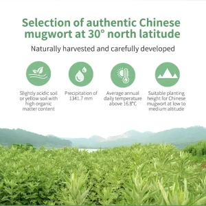 Herbal Wormwood Ginger Foot Patch Blood Circulation Sleep Aid Pain Relief Detox Care OEM ODM Support