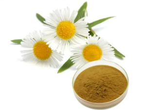 High Quality Chamomile Extract Powder with 4 1 10 1 Organic Chamomile Flower Extract Powder Organic Chamomile Flower Extract Powder Supplier