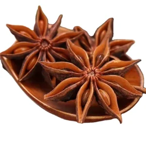 High Quality Dried Raw Star Anise Spice Seasoning 10kg Direct Sales From Guangxi China