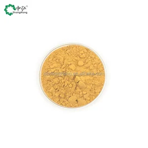 High Quality Food Grade Forsythiae Extract From Forsythia Suspensa Anti Inflammatory Powder Plant Extract