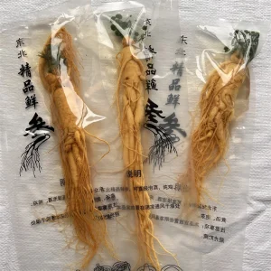 High Quality Fresh Ginseng with Wine Various Size