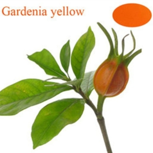 High Quality Gardenia Yellow Plant Extract Colorant