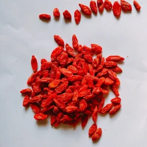 High Quality Goji Berries