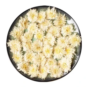 High Quality Health Herbal Tea Tribute Chrysanthemum Flower Tea Chrysanthemum Flower Bud