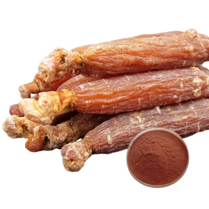 High Quality Healthcare Raw Material Red Ginseng Powder