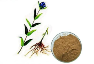 High Quality Herbal Extract Powder Gentian Extract Powder with 4:1