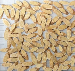 High Quality Huang Qi Astragalus Herb Medicine
