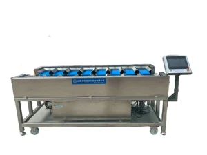 High Quality Mushrooms Fruit Potato Tomato Frozen Meat Conveyor Belt Type Sorting Combination Machine