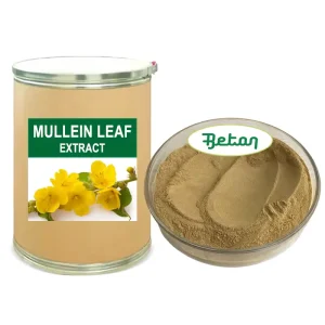 High Quality Raw Verbascum Thapsus Dry Mullein Herb Leaf Flower Extract Powder 10 1 Supplements For Lungs Private Label