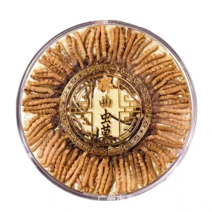 High Quality Whole Plant Cordyceps Sinensis Tibet Pure Natural Cordyceps Fungus Powder