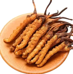 High quality Wild Cordyceps Sinensis 100% Natural Cordyceps Fungus Top grade Chinese Cordyceps Health Tonic