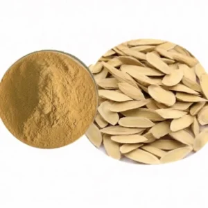 Hight Quality Astragalus Root Extract Astragalus Traditional Chinese Herbal Medicine Slices Astragalus Herbal Extracts