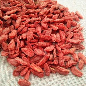 Hong Gou Qi Chinese Herbal Medicine Red Wolfberry Healthy Tea Gouji Berry
