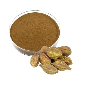 Hot selling High Quality Myrobalan Extract Powder Terminalia Chebula Extract Powder