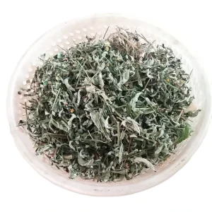 Huang Hua Ren Bulk Herb Sida Acuta Leaf Sida Rhombifolia Clearing Heat Spices & Herbs