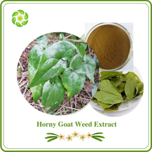 Hunan Word Well Being Male Health Care Horny Goat Epimedium Extract Powder