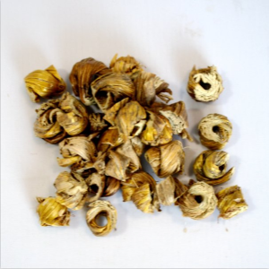 Huo Shan Shi Hu High Quality Natural Herb Medicine Dendrobium Huoshanense