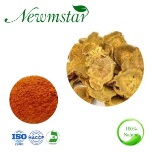 ISO Certified Plant Extract Rheum Palmatum Powder Extract Rhubarb Chrysophanol 1%-98% Rhubarb Extract