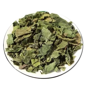 ISO Certified Sang Ye Mulberry Leaf Tea Morus Alba with Mild Fresh Green Grassy Aroma