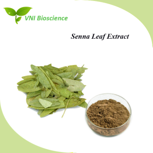 ISO Halal Certified Natural Powder Sennosides 1% 20% 10 1 Senna Leaf Extract