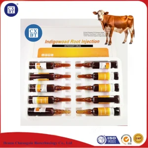 Indigowoad Root Injection for Enhanced Animal Respiratory Health