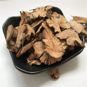 Jin Qiao Mai Nature Herbal Medicine Golden Buckwheat Fagopyrum Dibotrys Root