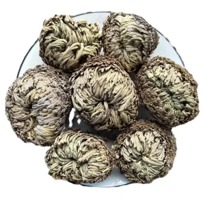 Juan Bai Rose of Jericho Herb Dried Selaginella Tamariscina Nine Dead Resurrection Grass Immortal Grass