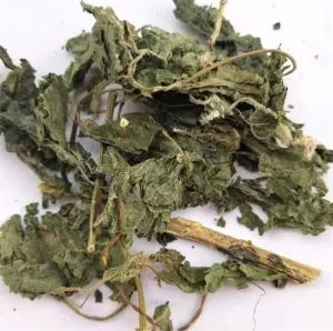KAIYANGE Natural Dried Stinging Fragment Nettle Leaves Urtica Fissa E. Pritz Herbal Tea Best Botanical Herb