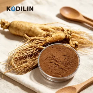 Kodilin Aseptic Culture Fine Powder High Penetration Easy Absorption Mild Powdered Ginseng Adventitious Roots