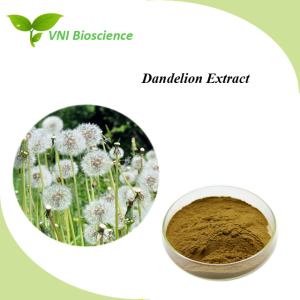 Kosher Halal Certified 100% Natural Powder Flavones Dandelion Extract