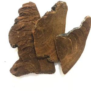 Ku Bai Ti 10% Wild Natural Mushroom Dried Fomitopsis Officinalis Slice
