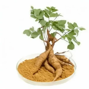 Kudzu Root Extract Powder, 40% Isoflavones, Pueraria Mirifica Root Extract