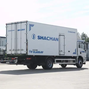 L3000 4×2 4×4 6×4 Cold Food Refrigerator Box Truck Refrigerated Mini Van Compressor Freezer Truck Units for Fish