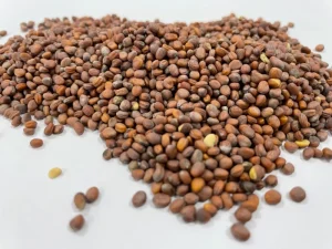 Lai Fu Zi Semen Raphani Chinese Herbal Medicine Natural Dried Herb