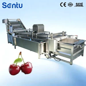 Large Capacity Bubble Cleaner for High Output Workshop Fruit Bubble Washing Equipment for Post Harvest Handling