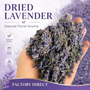 Lavender Buds Natural Aromatic Herb for Tea Blend Potpourri and Gift Packaging