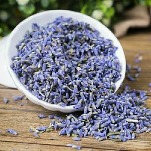 Lavender Flower Traditional Chinese Medicine Natural Dried Lavender Buds Xun Yi Cao