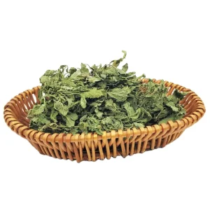 Li Zhi Cao Natural Raw Plebeian Sage Dried Wild Saluia Plebeia Fujian China Sun Dried Herb