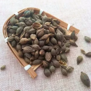 Lian Qiao Chinese Traditional Dried Forsythia Fruit Herb Raw Processing Tea Extract