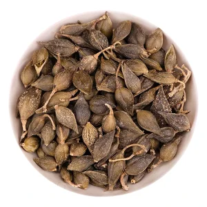 Lian Qiao Herbal Forsythia